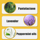 🔥Rodent Control Device🐭 Peppermint Oil Rodent Repellent Spray Kaufen Sie 2 und erhalten Sie 1 gratis. Bestellen Sie jetzt und sparen Sie 47 %