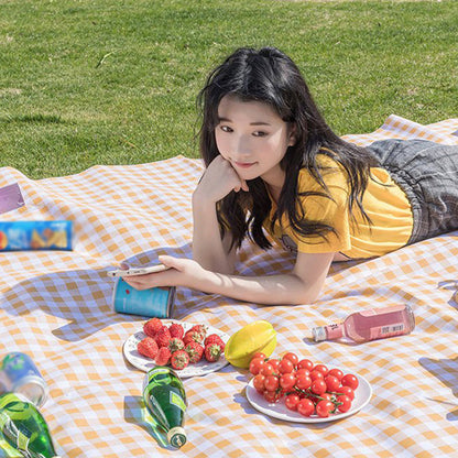 Plaids Wasserdichte große faltbare Picknickdecke