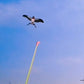 🪁Innovative Angelruten-Drachen✨✨Einfach steuern, endloser Outdoor-Spaß für Kinder!