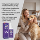 Mundspray für frischen Atem bei Hunden und Katzen | 🎁Sonderangebot: 3 kaufen, 1 gratis